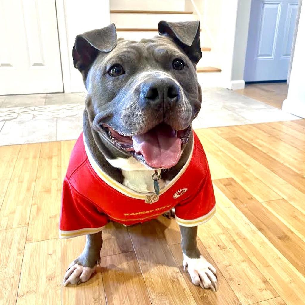 Gunner