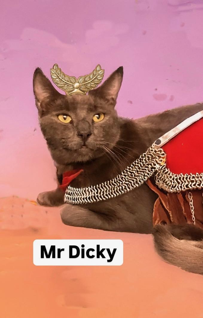 Mr Dicky at Martinez Pet Food Express January 25th 3