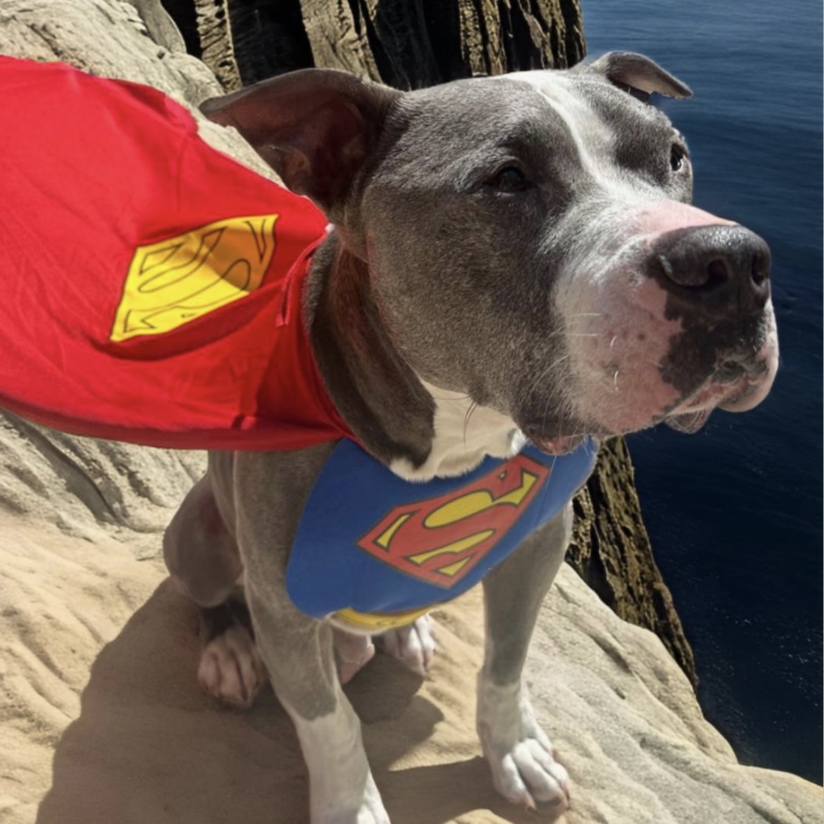 Clark