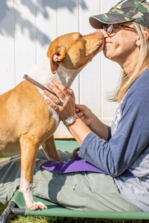 Flora could be your new beautiful 48lb flower She has a gorgeous caramel and white coat and dazzli