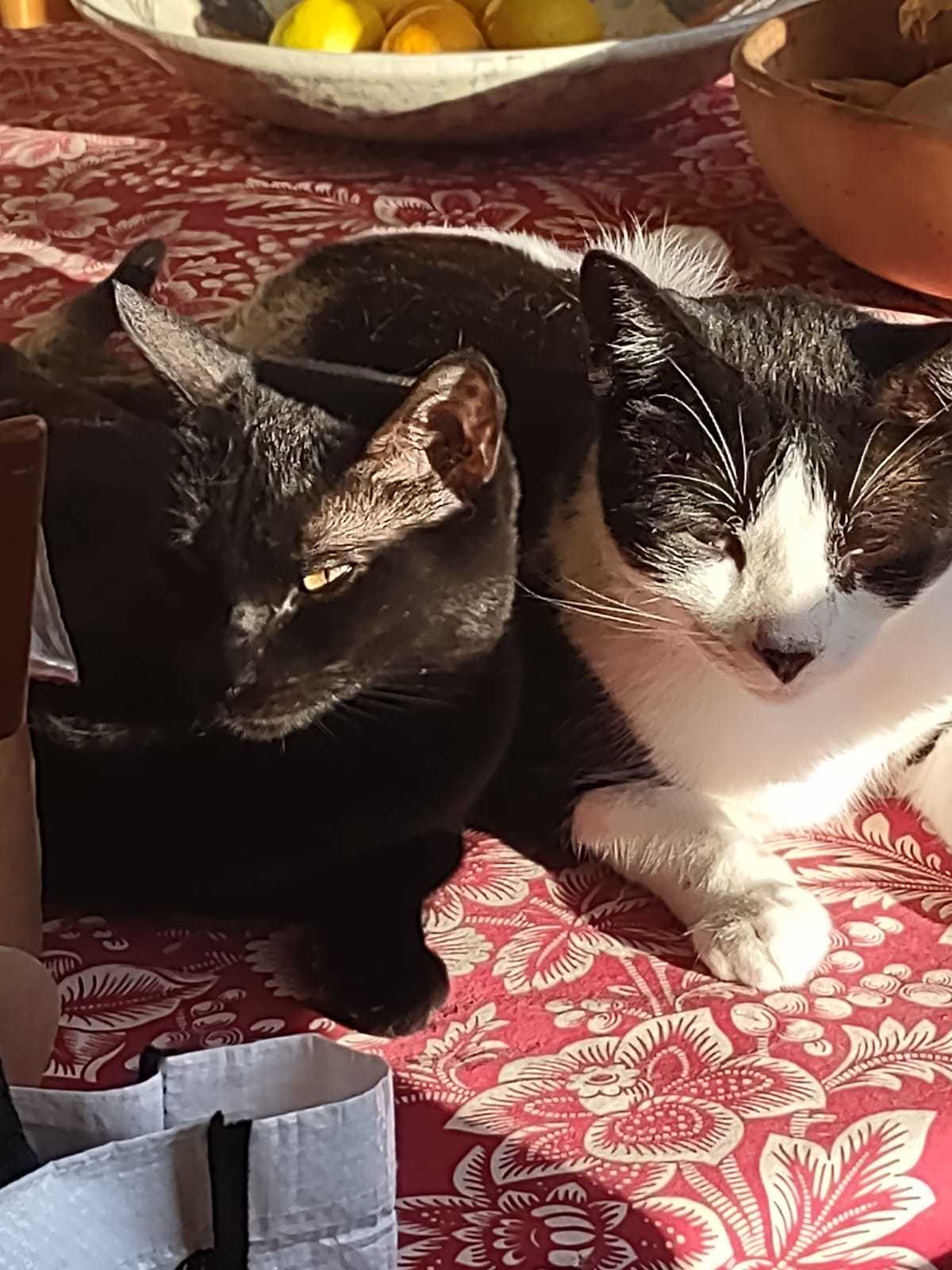 Spud and Mae West