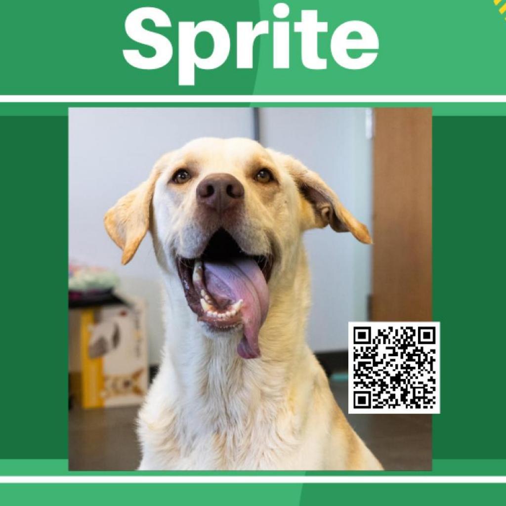 Sprite