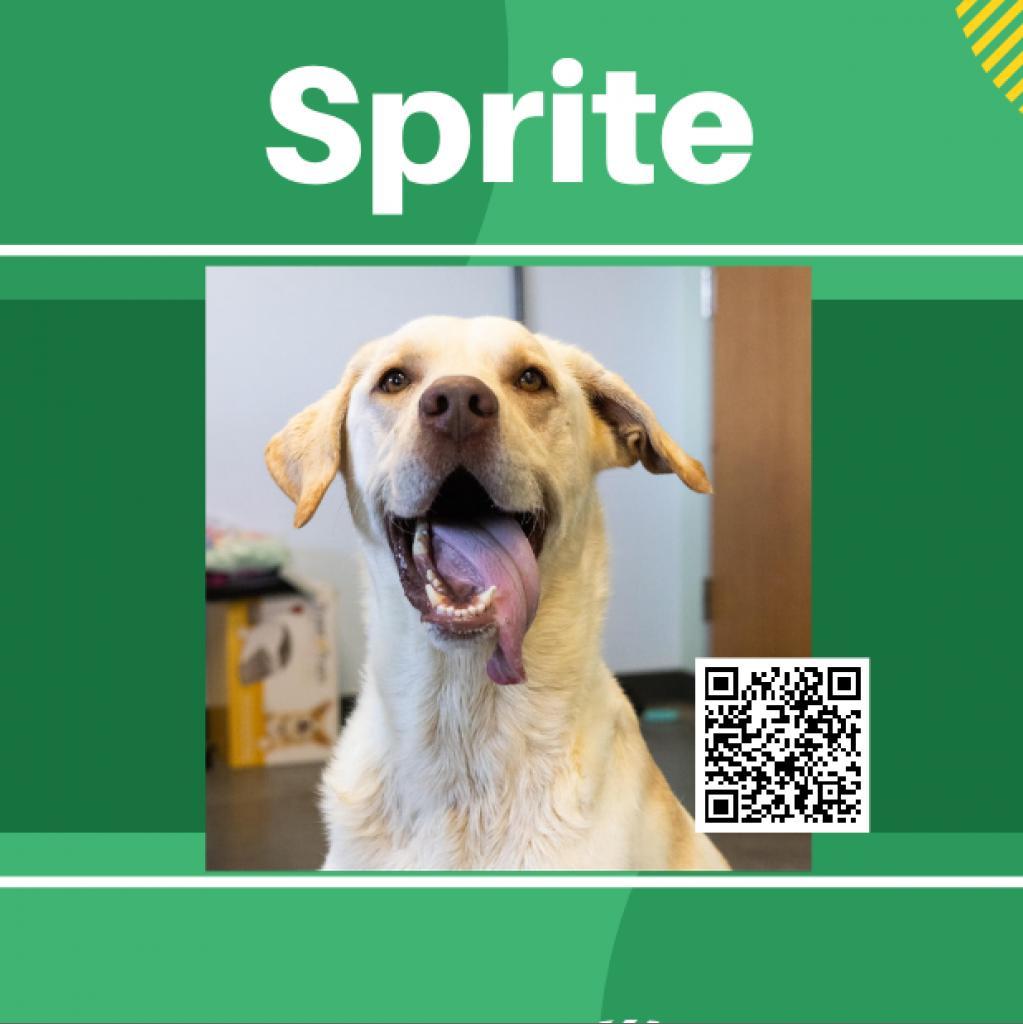 Sprite