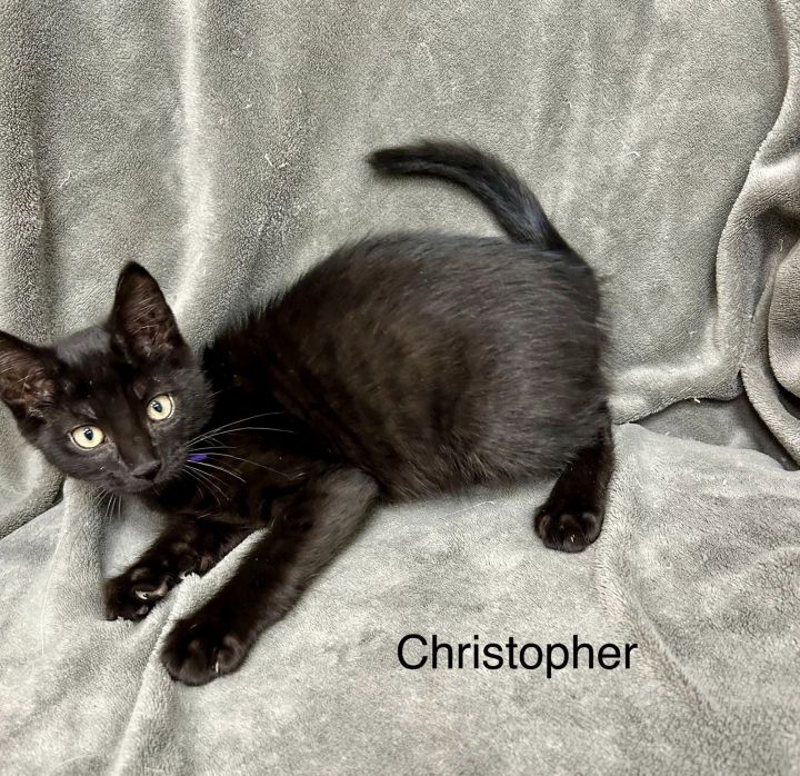 Christopher 3