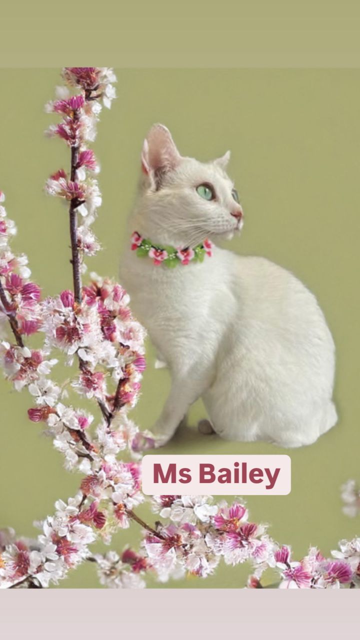 Ms Bailey at Martinez Pet Food Express May 24th 1