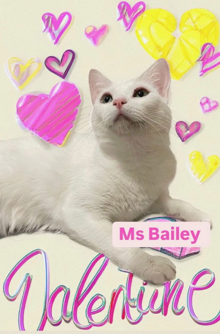 Ms Bailey at Martinez Pet Food Express May 24th 2