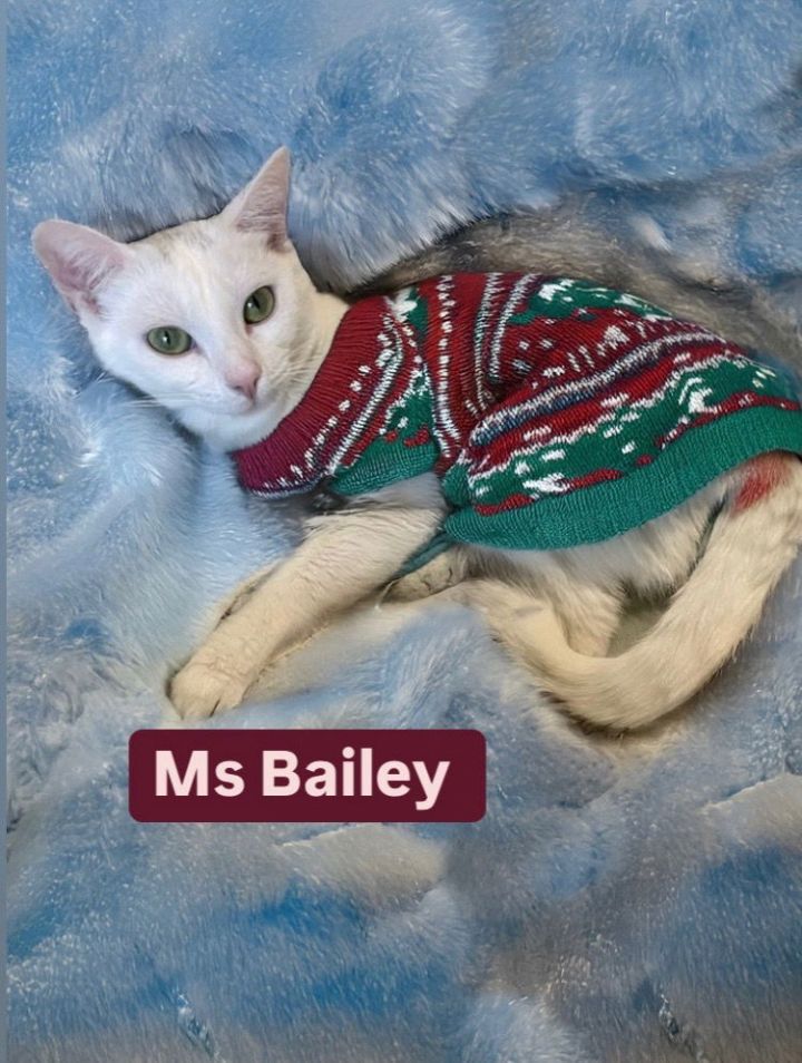 Ms Bailey at Martinez Pet Food Express May 24th 3
