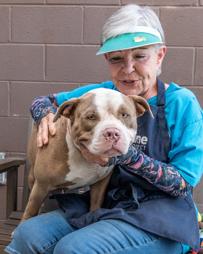Tuffy - IN FOSTER
