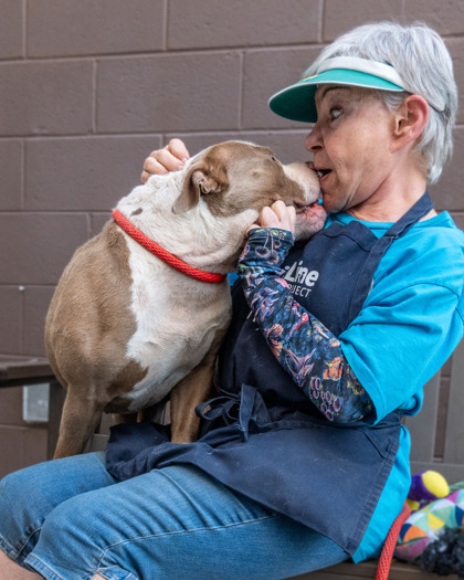 Tuffy - IN FOSTER 3