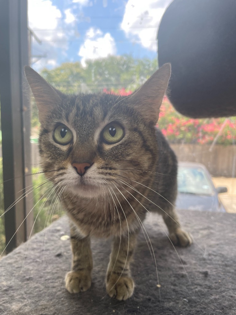 Ramona