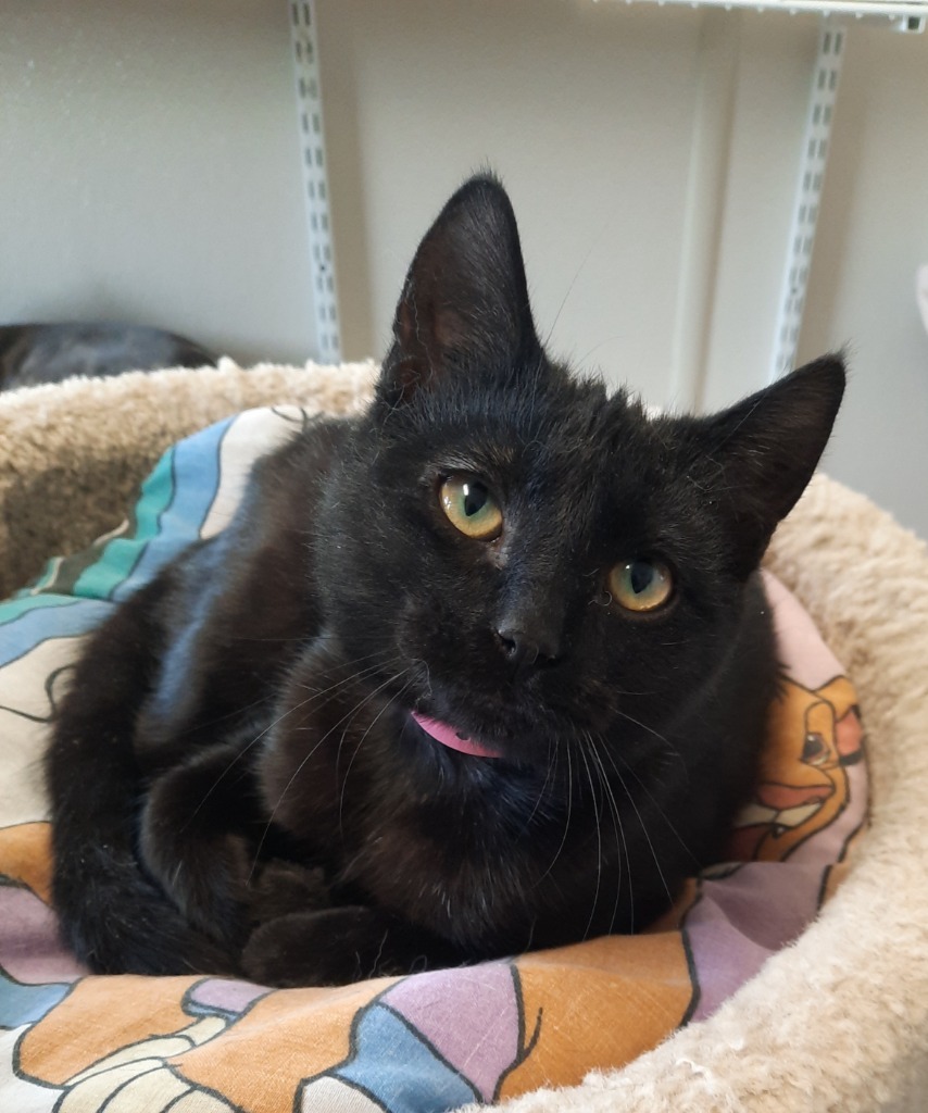 Sabrina