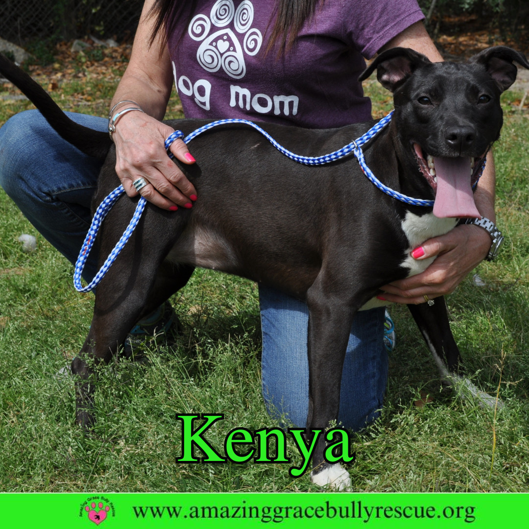 Kenya