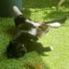 Serge photo 5