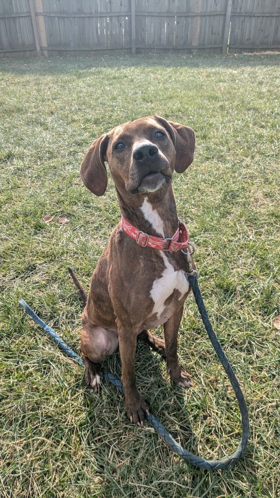 Maggie