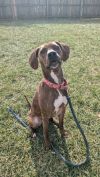 Maggie photo 1