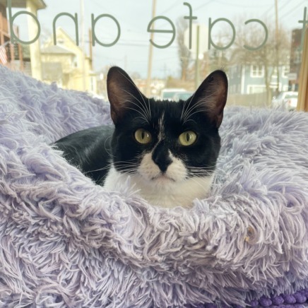Patti (bonded with Pauley)