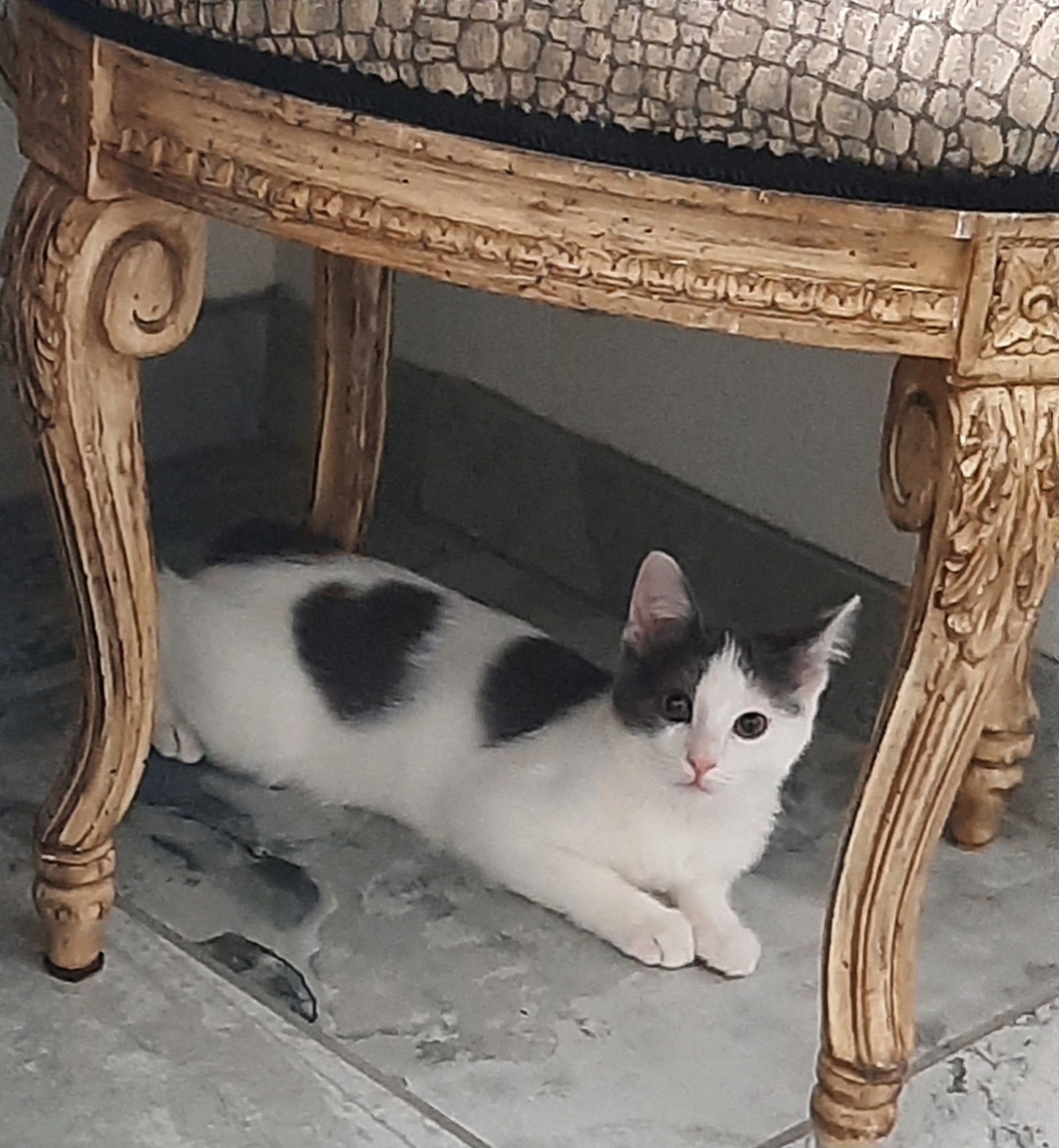 CORA