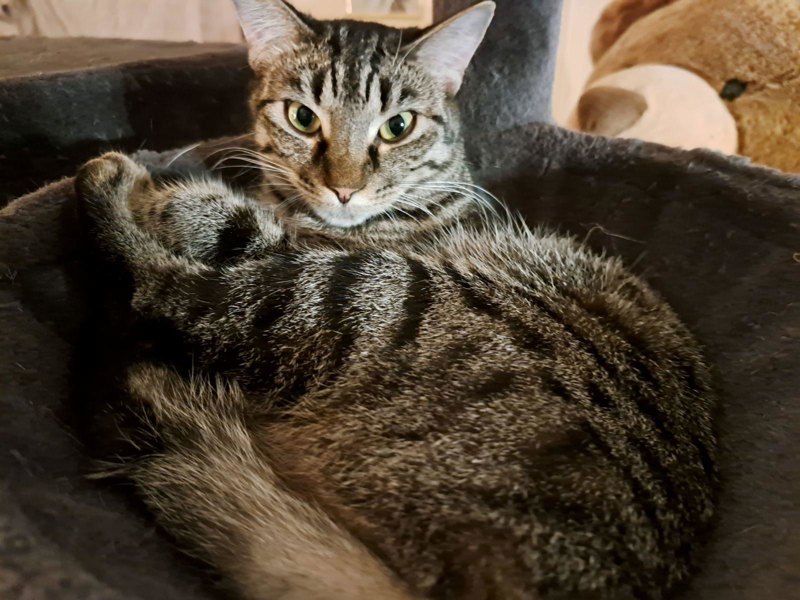 Mia