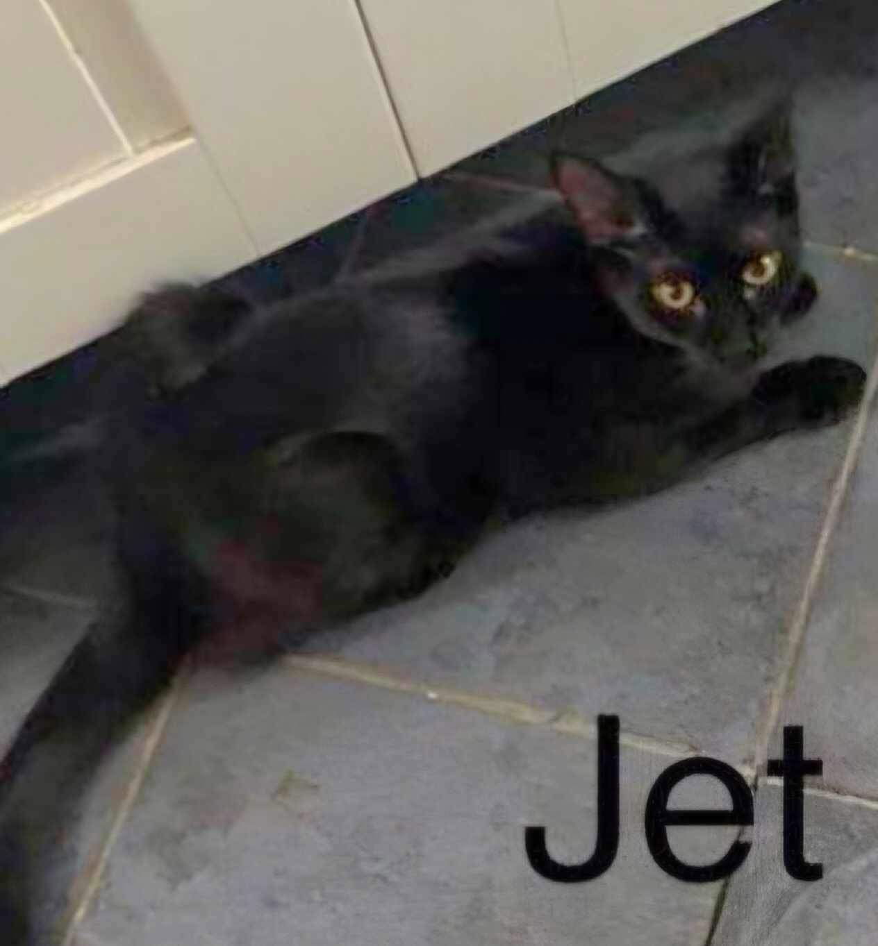 Jet (24-454)