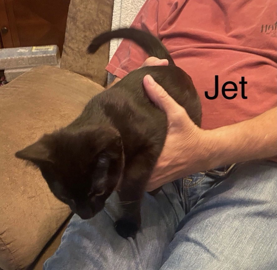 Jet (24-454)