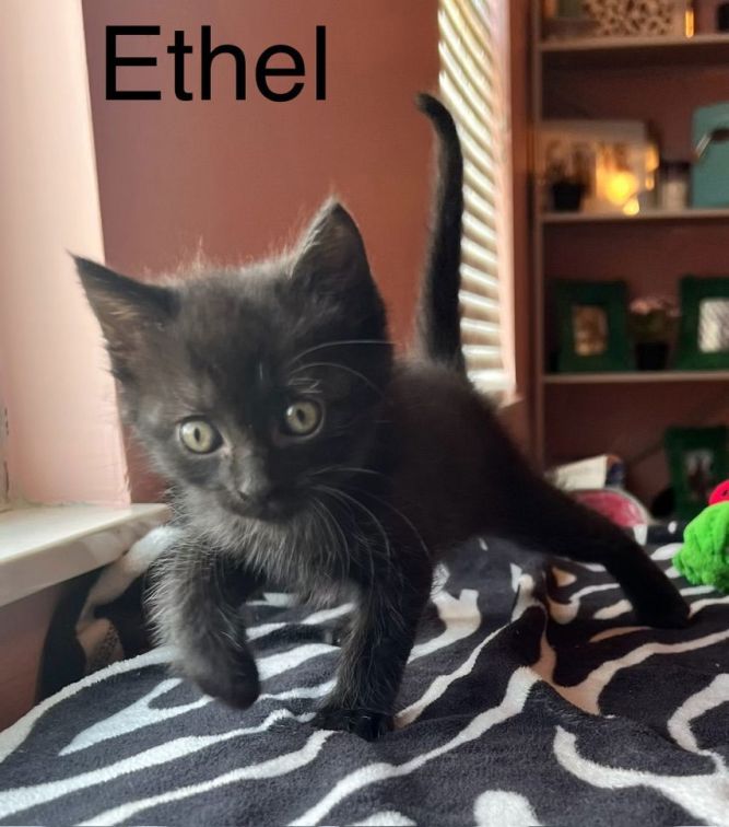 Ethel