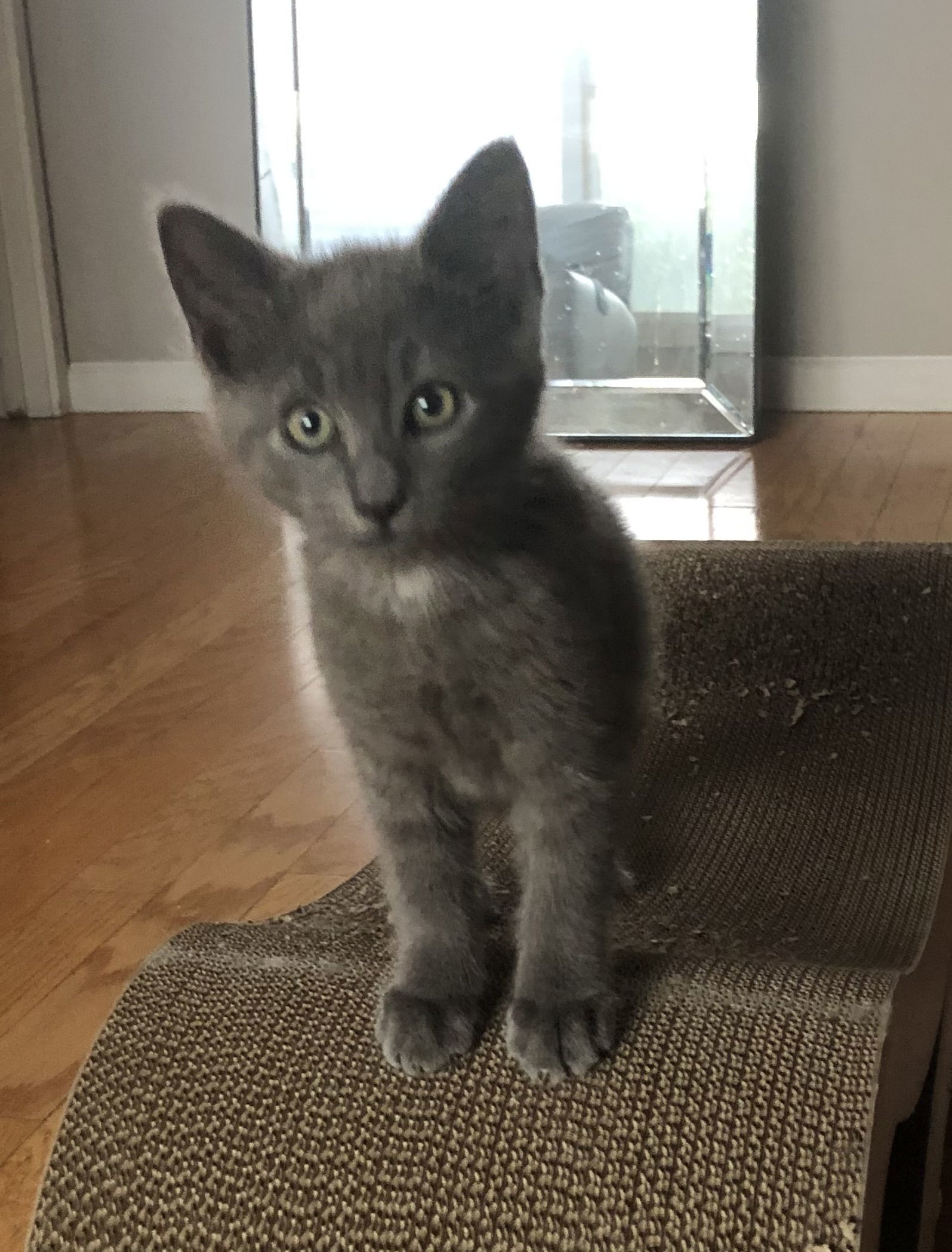 Max