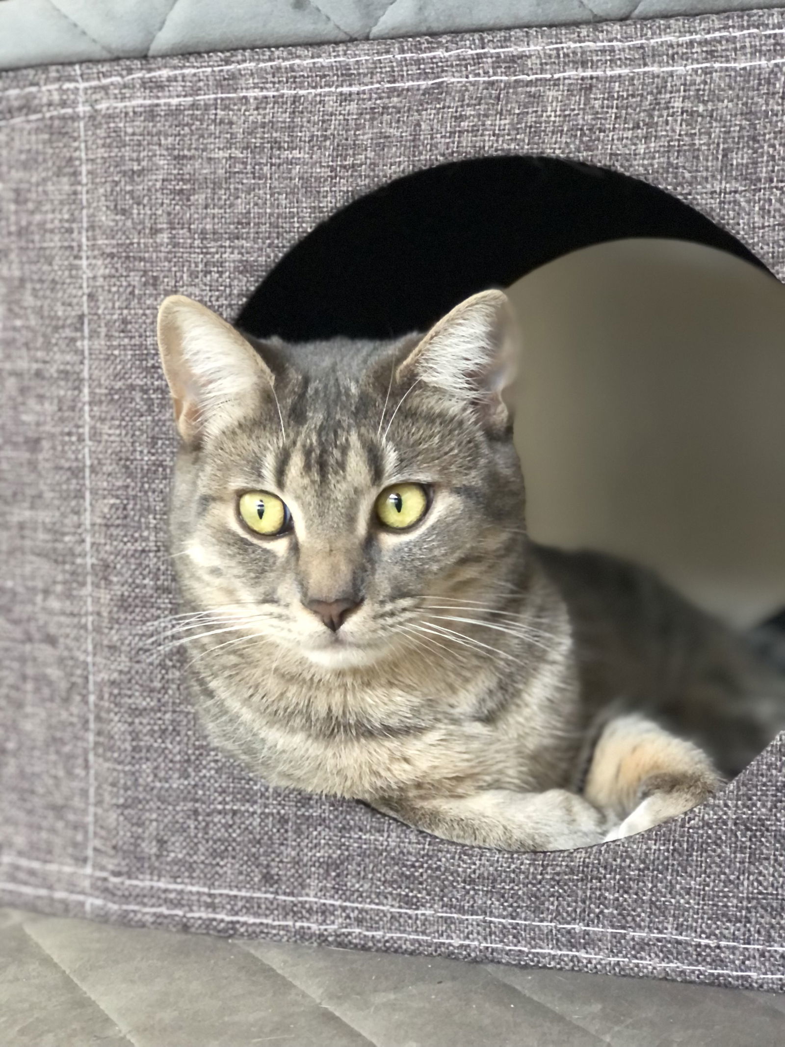 Chloe