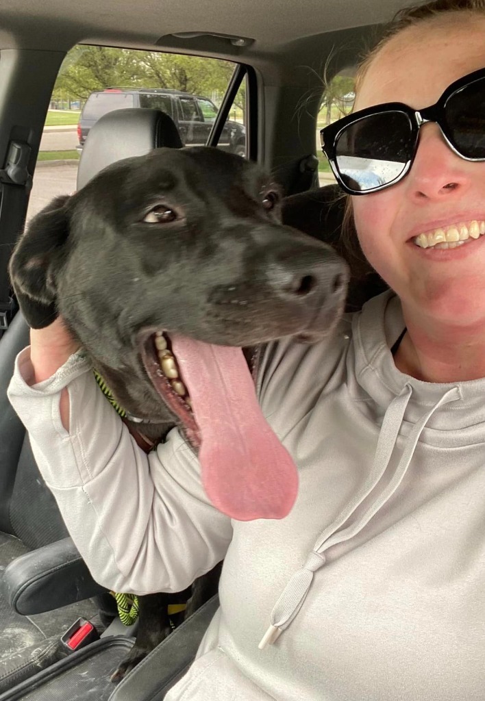 Amaya, an adoptable Labrador Retriever in Salt Lake City, UT, 84117 | Photo Image 5