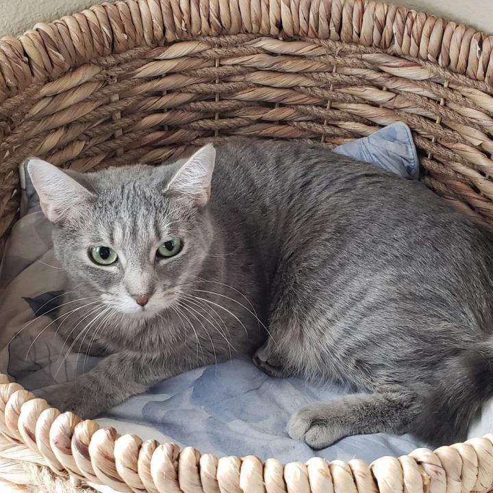 Misto 4