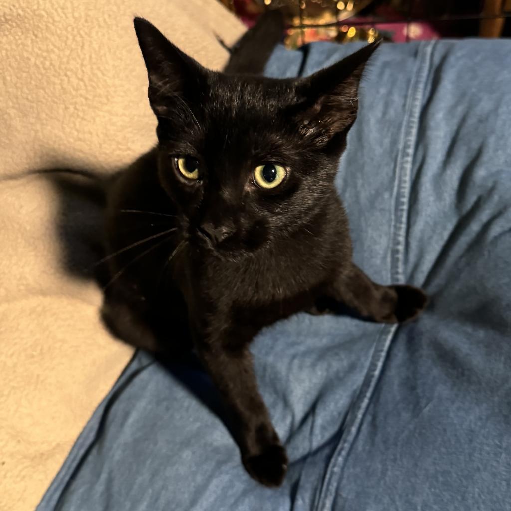 Riesling (In Foster)