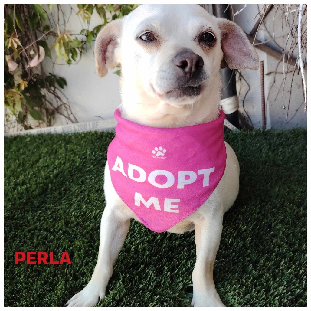 Perla