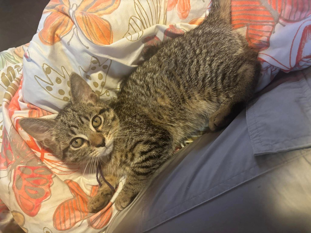Oscar