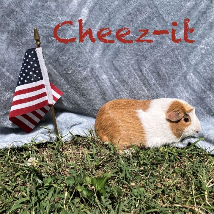 Cheezit 1