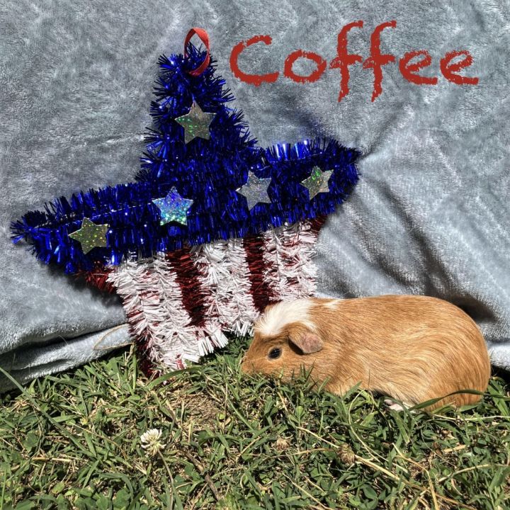 Coffee 1