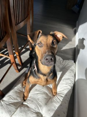 Belle