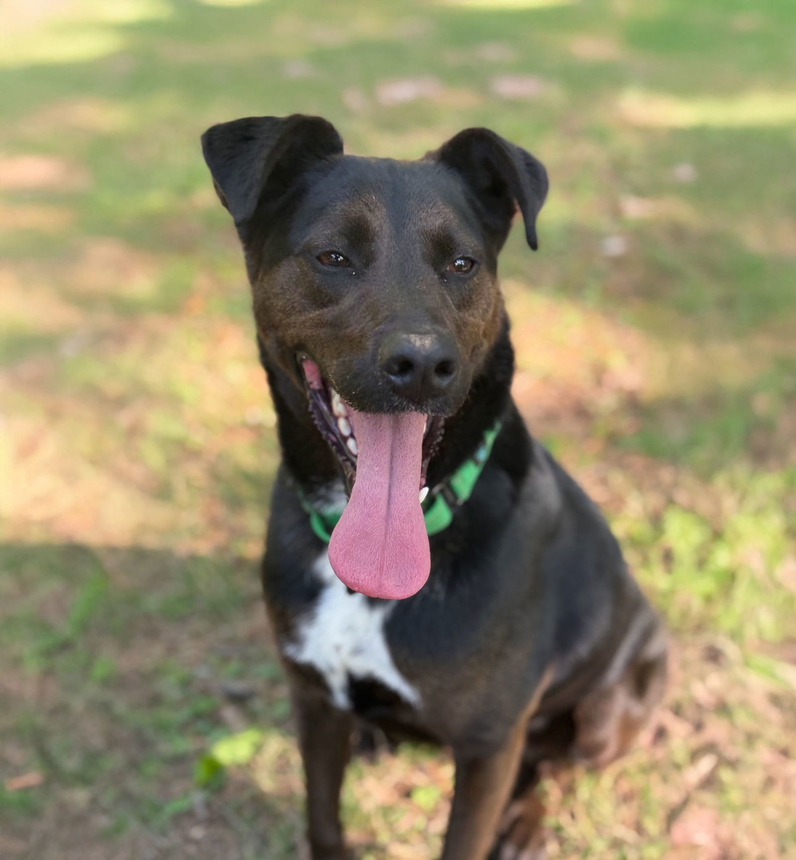 Luca