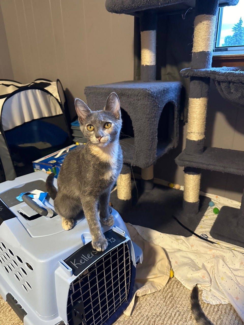 Chloe
