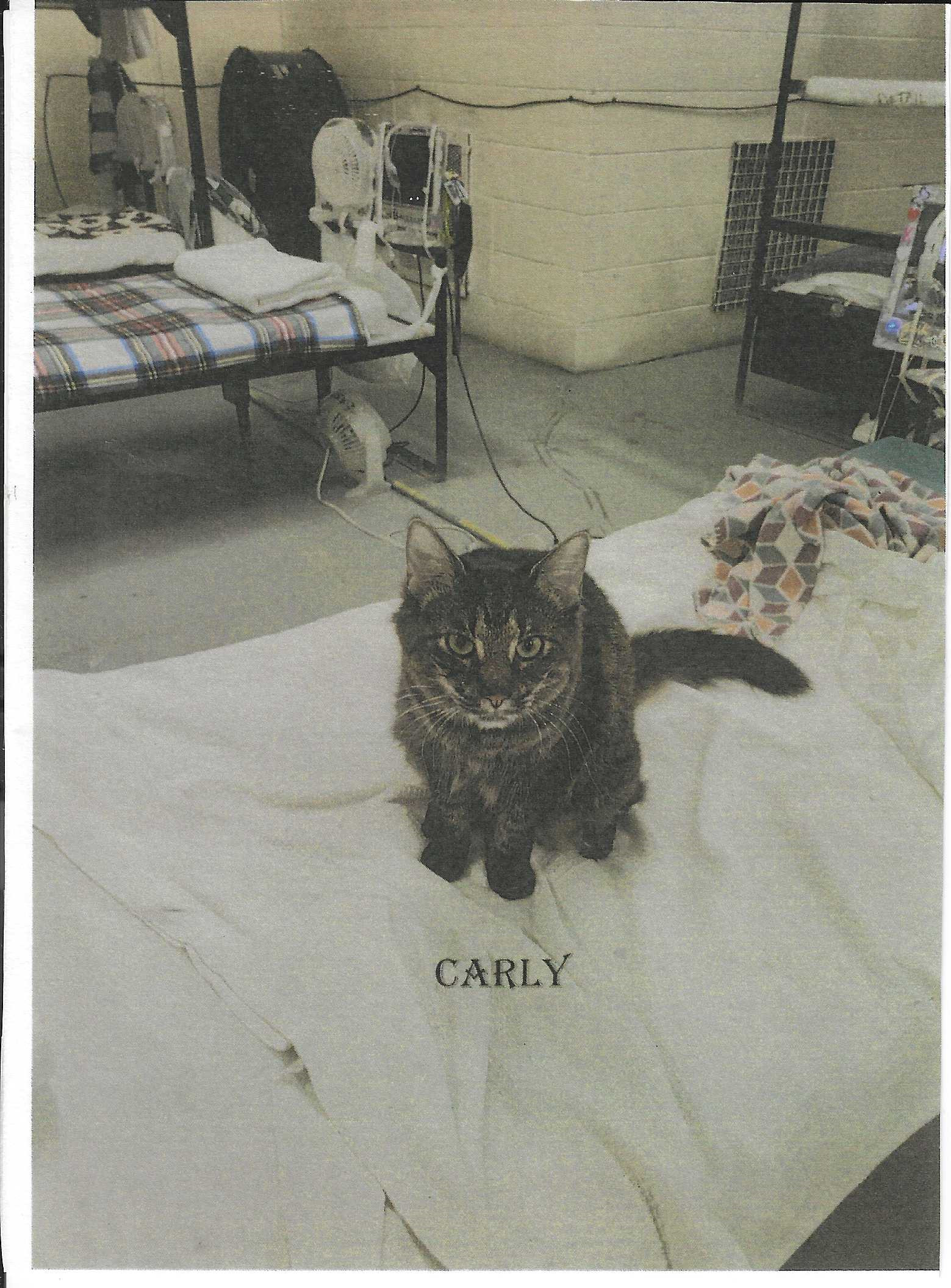 Carley Simon
