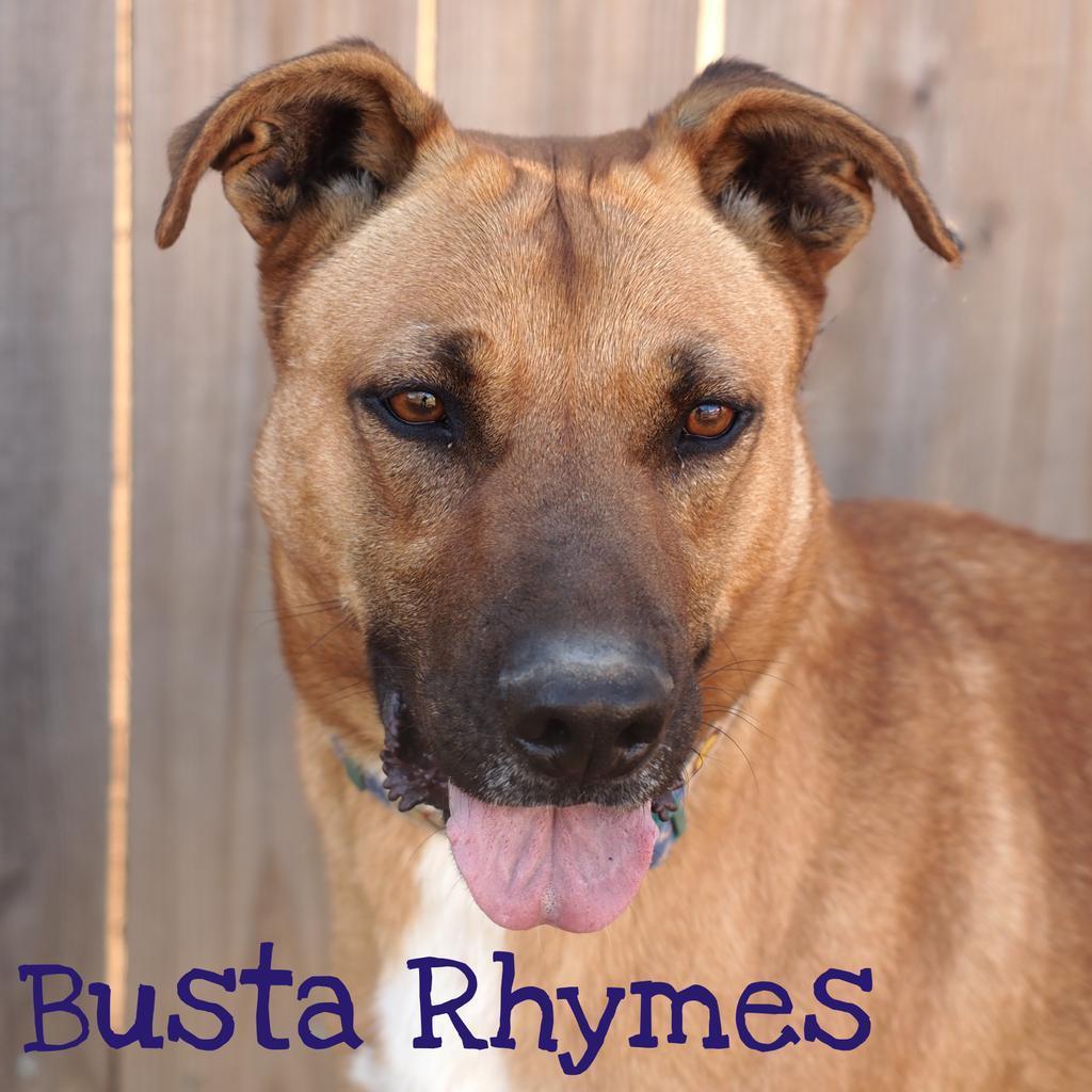 Busta Rhymes (River)