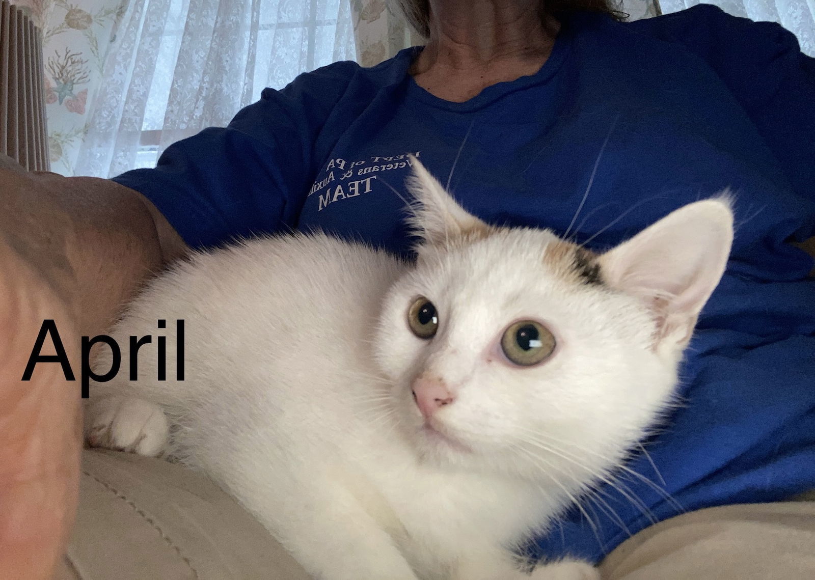 April (24-264)