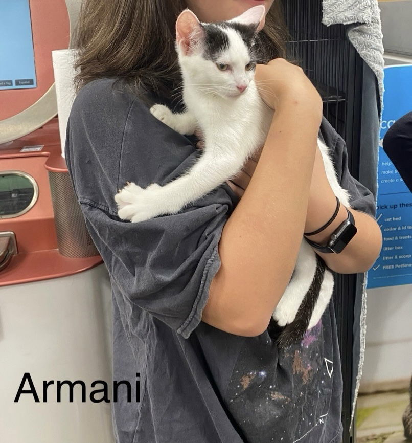 Armani (24-265)