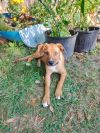 Jasper photo 2