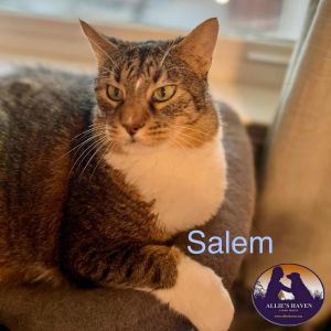 Salem, Senior Male unknown
