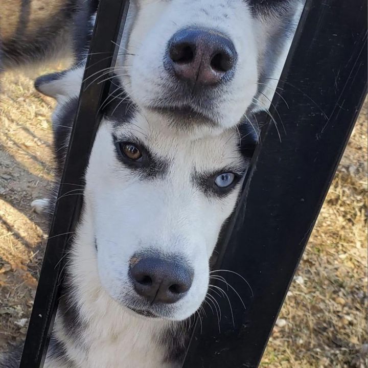 Luna 3