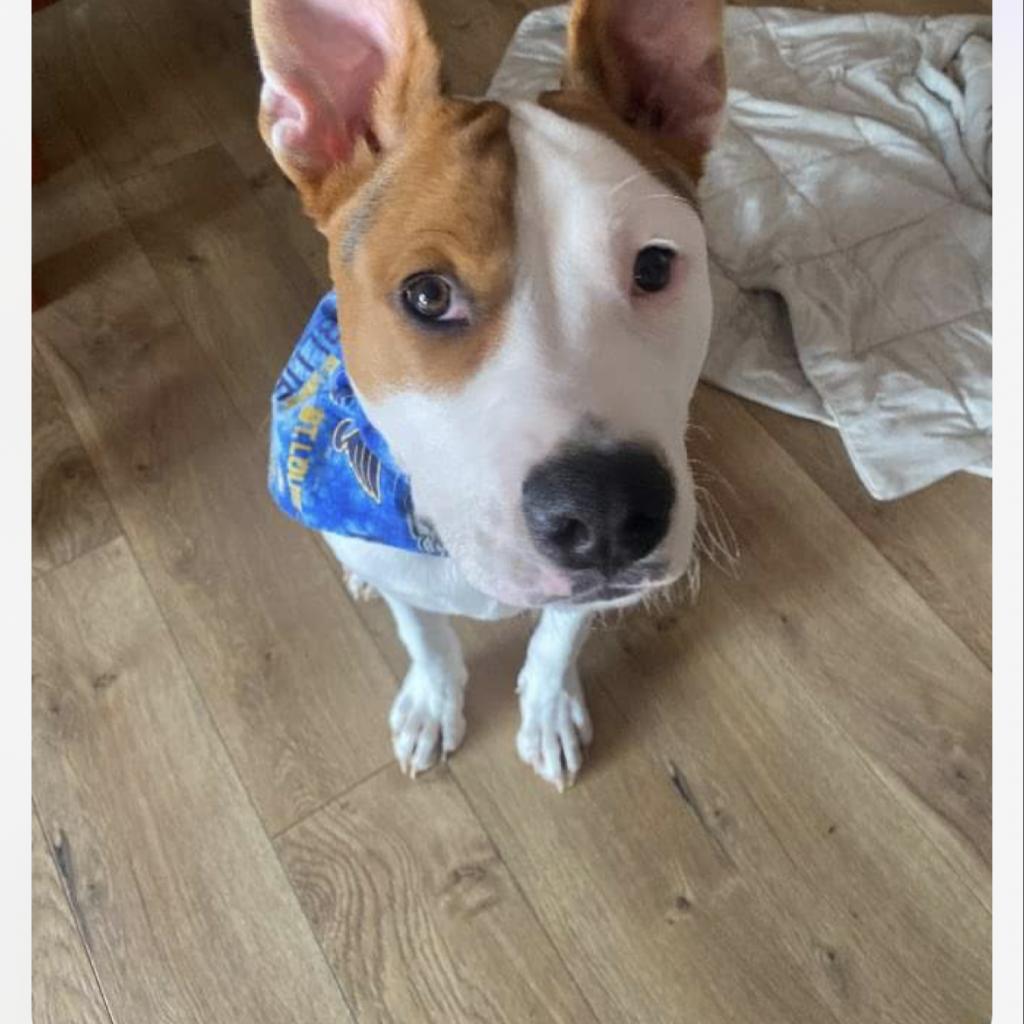 Petey