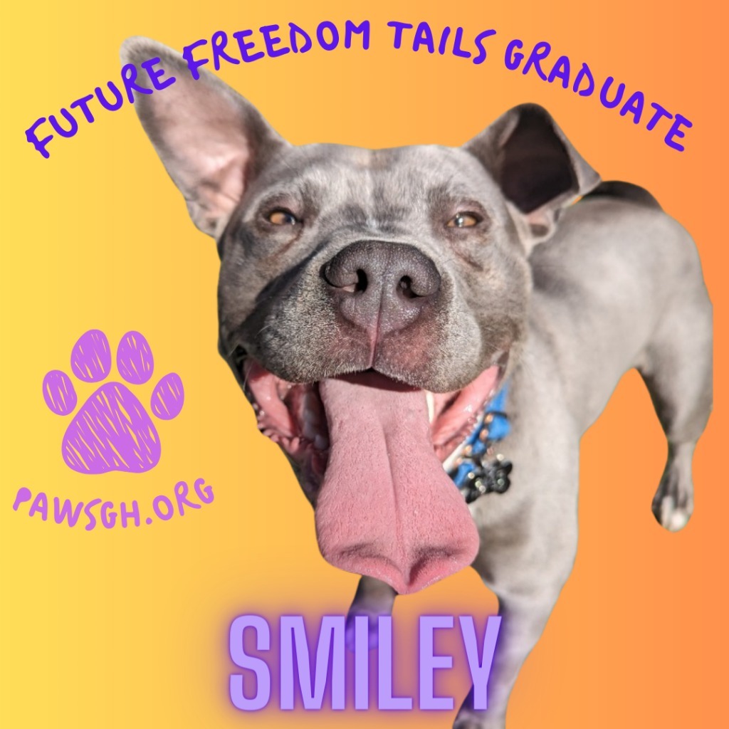 Smiley