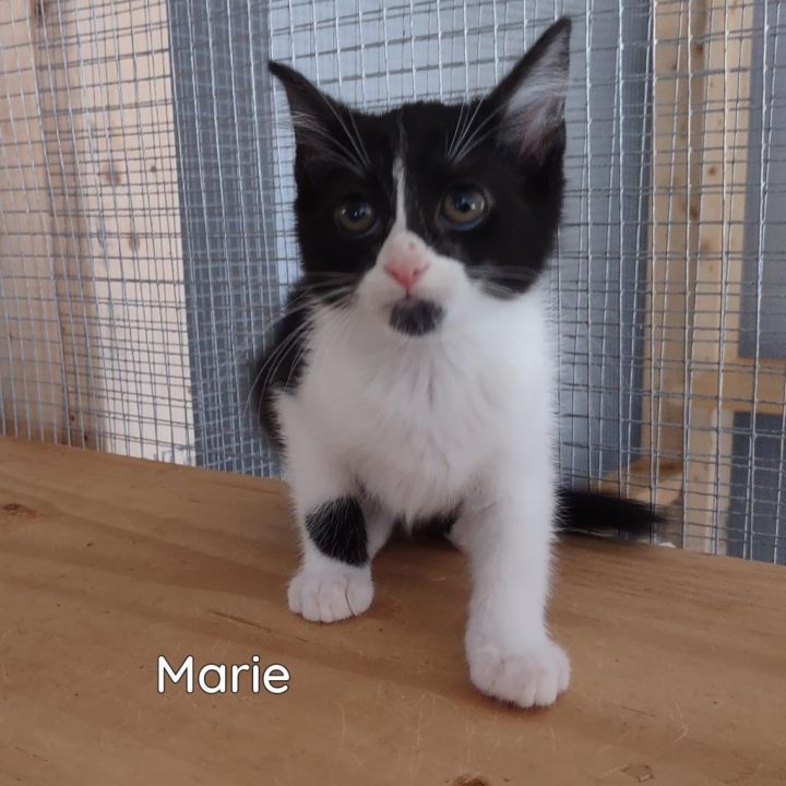 Marie 2