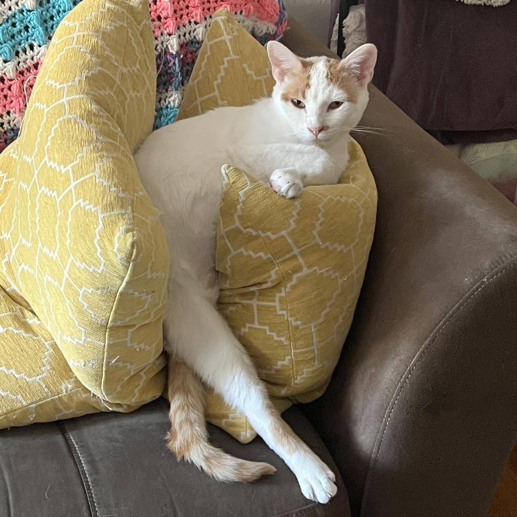 Rita