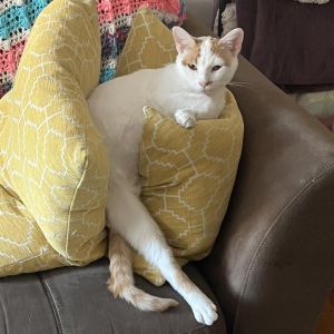 Rita