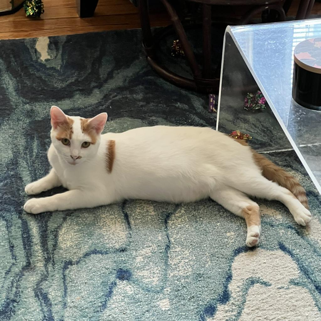 Rita